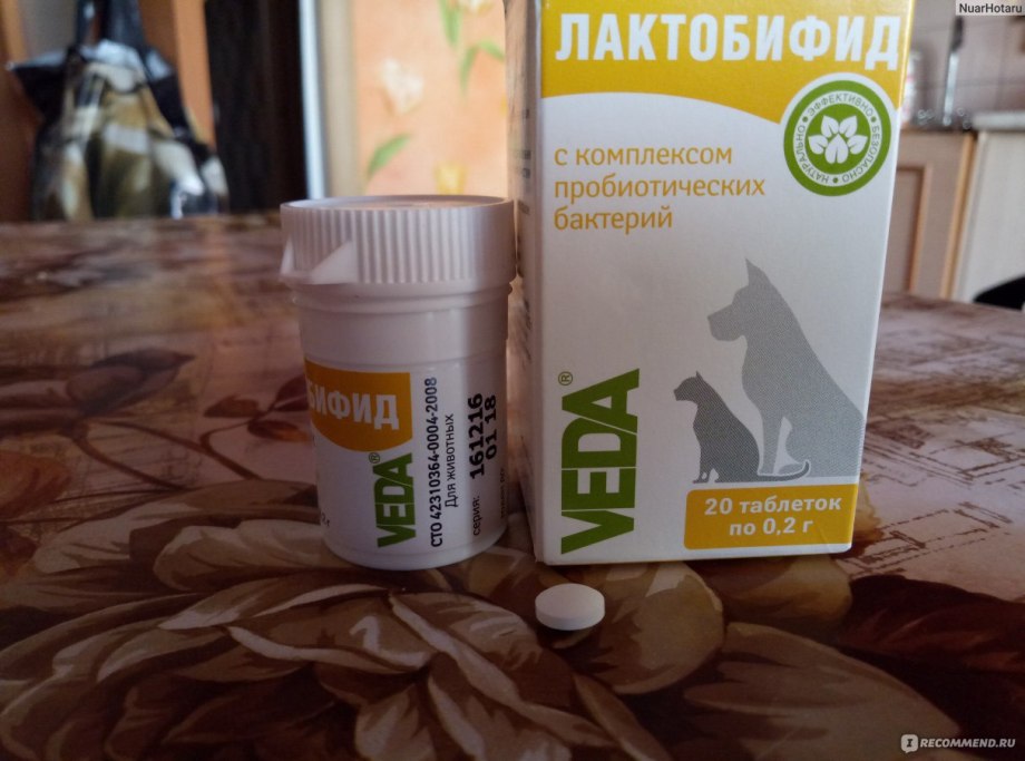 Пробиотики для собак