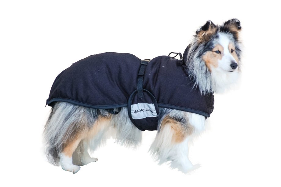 Icepeak Pet попона