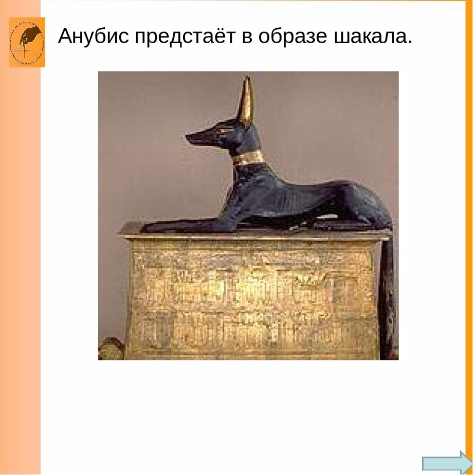 Древнеегипетская порода собак Анубис