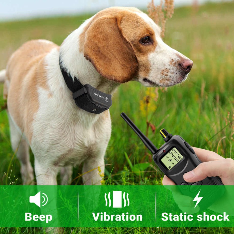 GPS-ошейник ошейник Garmin t5