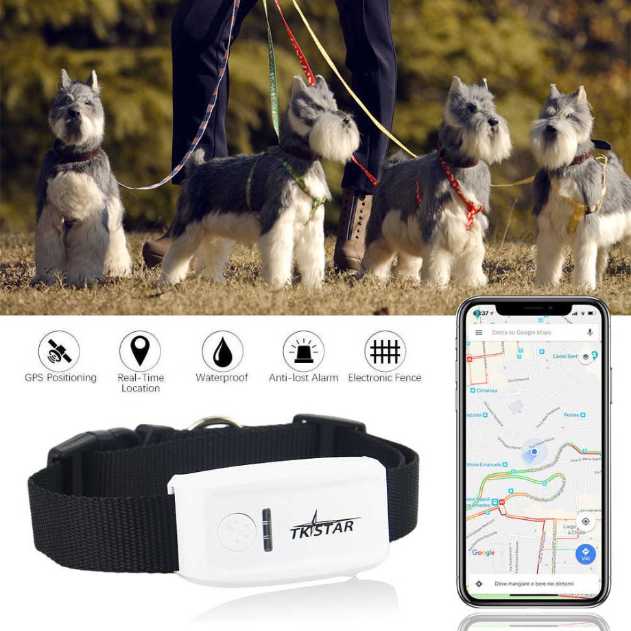 GPS трекер ошейник для собак tk Star
