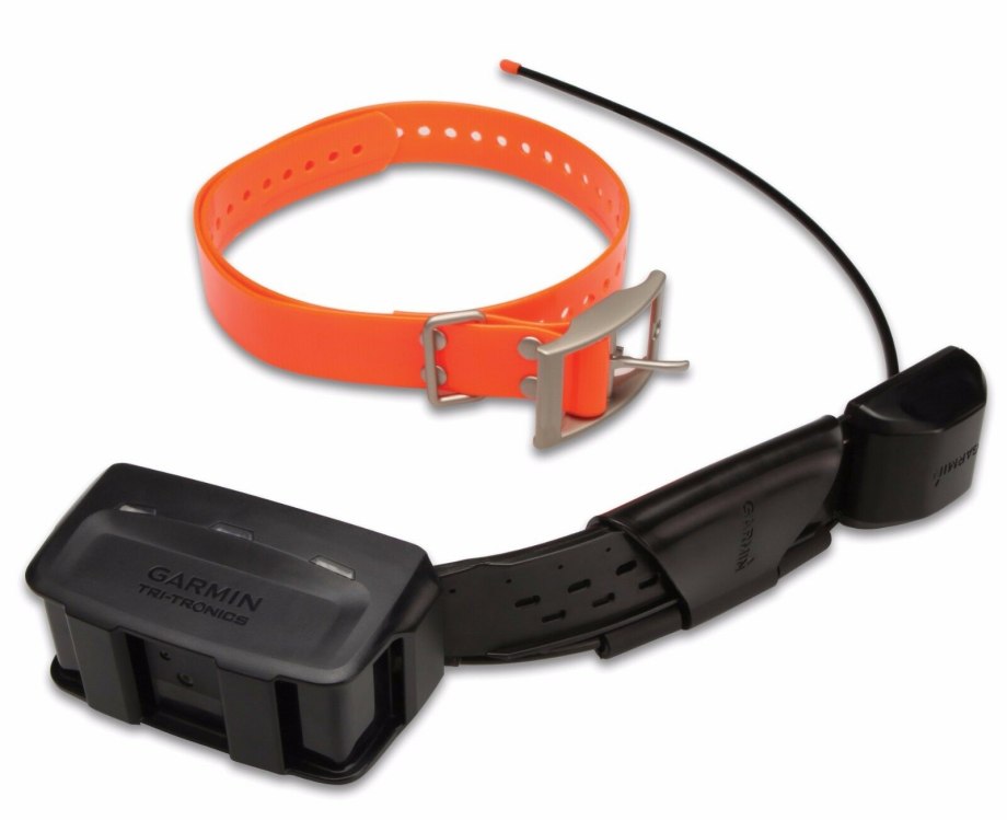 Ошейник Garmin t5