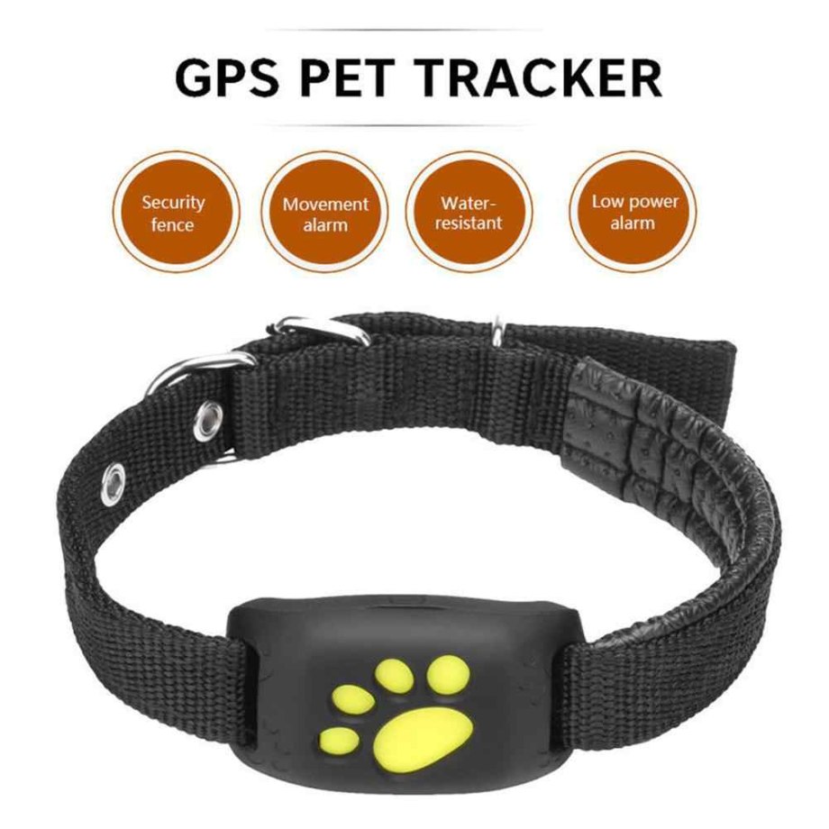 Ошейник Pet GPS-трекер