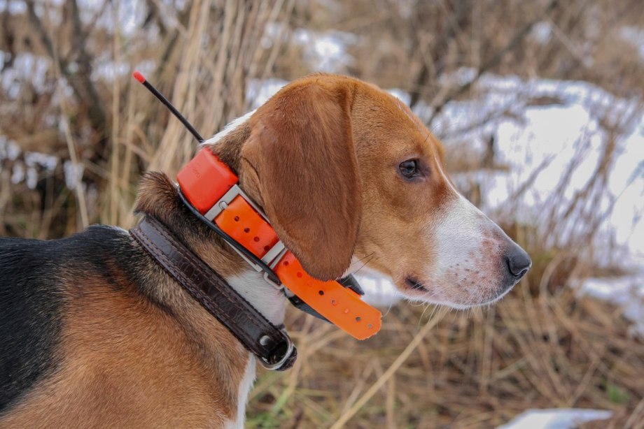 Трекер Pet GPS Tracker