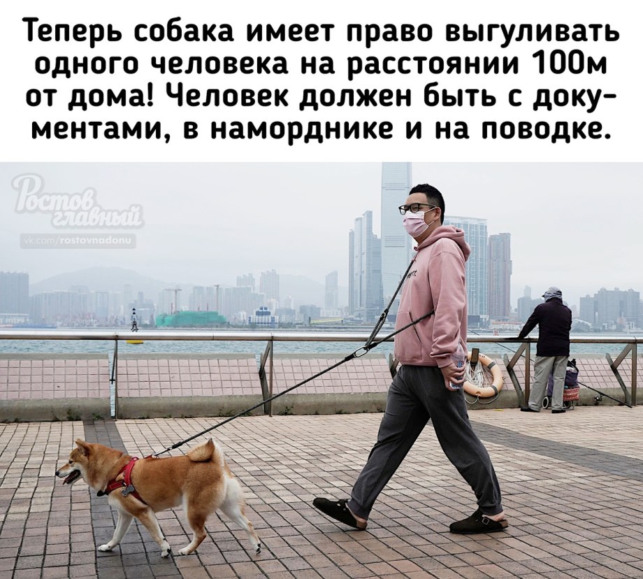 Хозяин с собакой в жизни