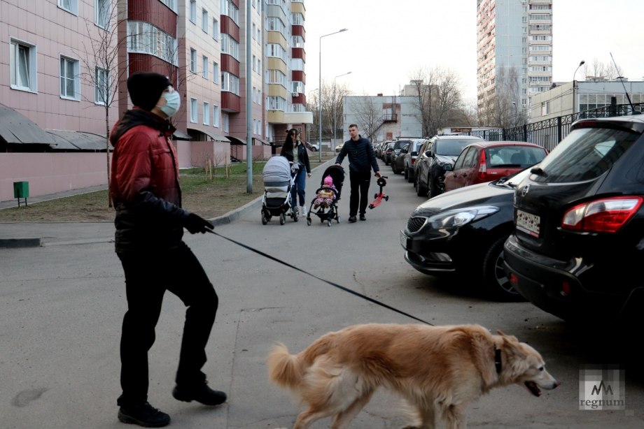 Йен Сомерхолдер с собакой