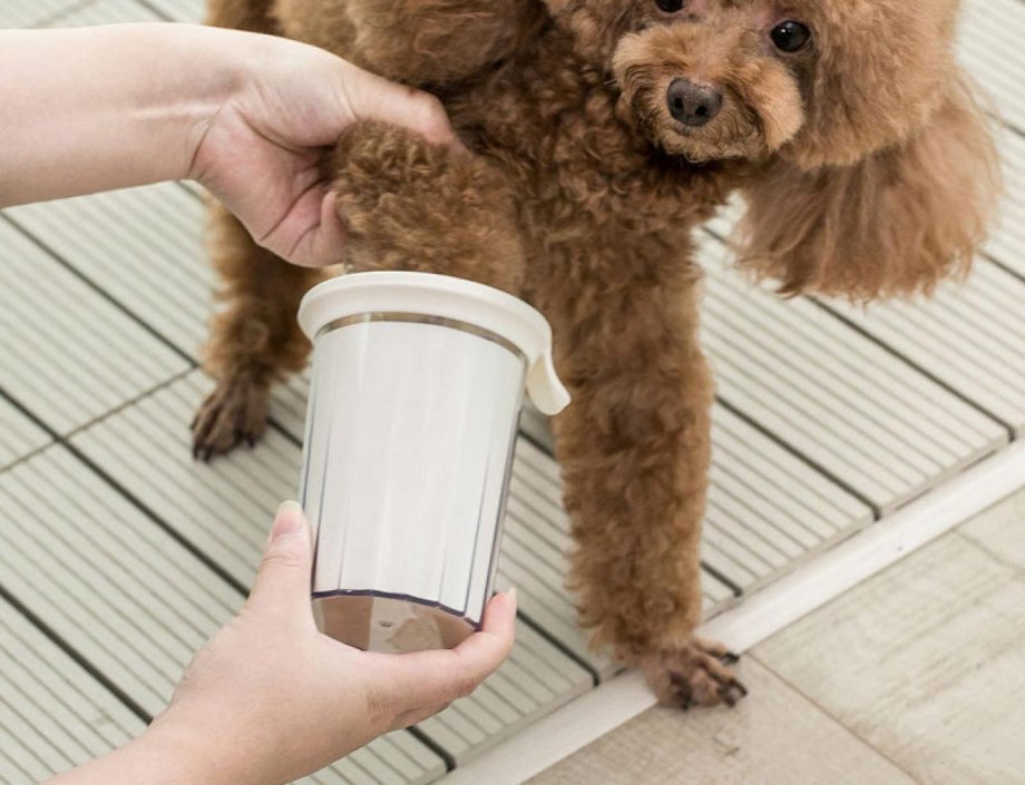 Контейнер для мойки лап Xiaomi Jotun Judy Pet foot Cup Brush