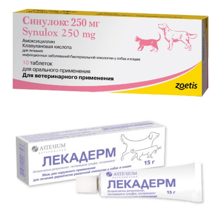 Лекадерм для собак