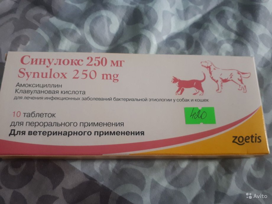 Синулокс 1000