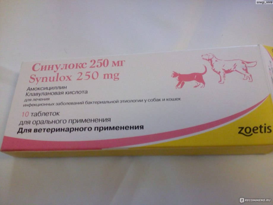 Синулокс для собак 250мгдозировка