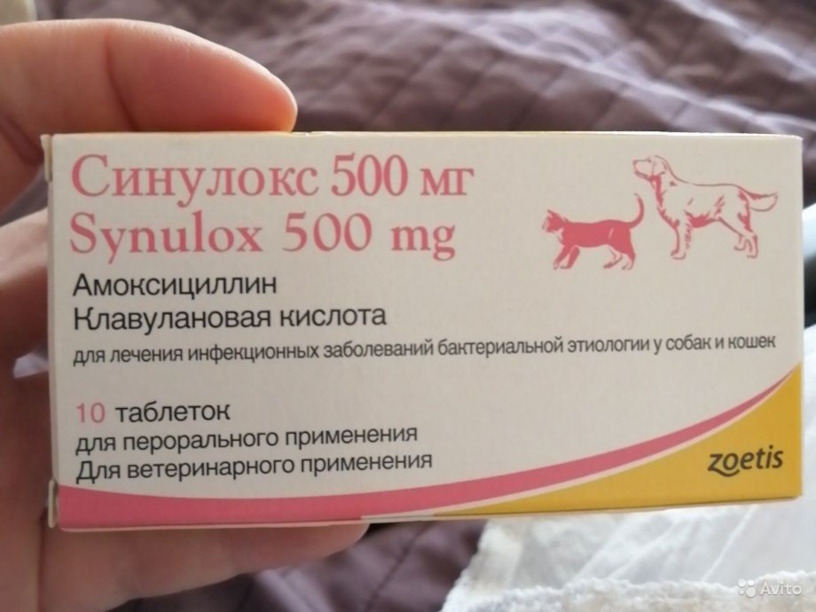 Таблетки ветеринарные синулокс