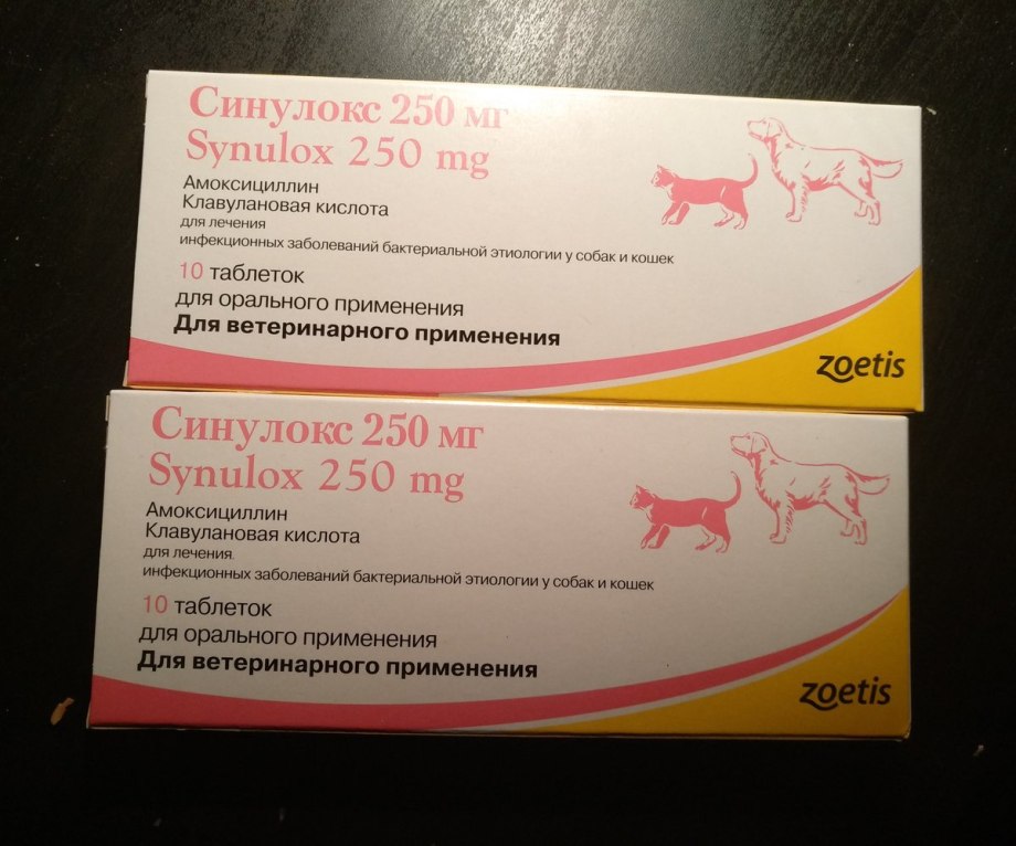 Синулокс для котят