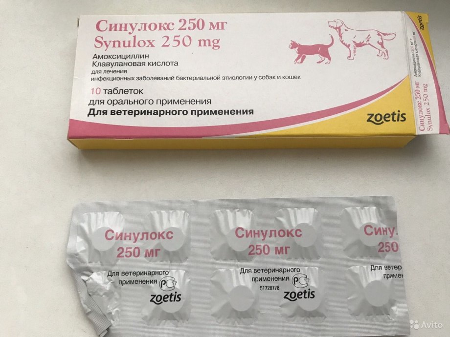 Синулокс для кошек таблетки 250 мг
