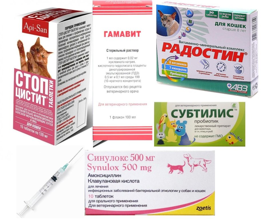 Обезболивающие препараты для кошек