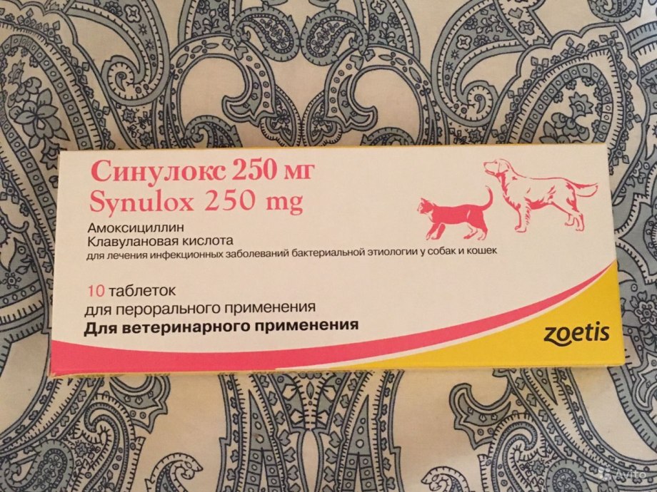 Синулокс 250 для кошек