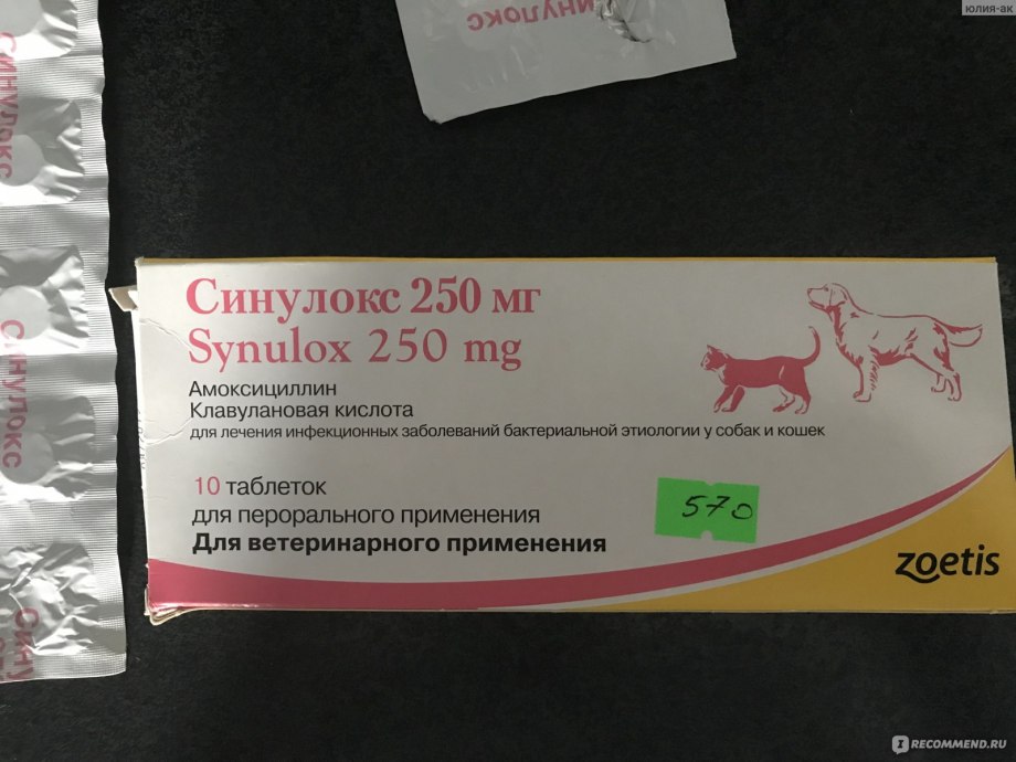 Антибиотик для кота синулокс