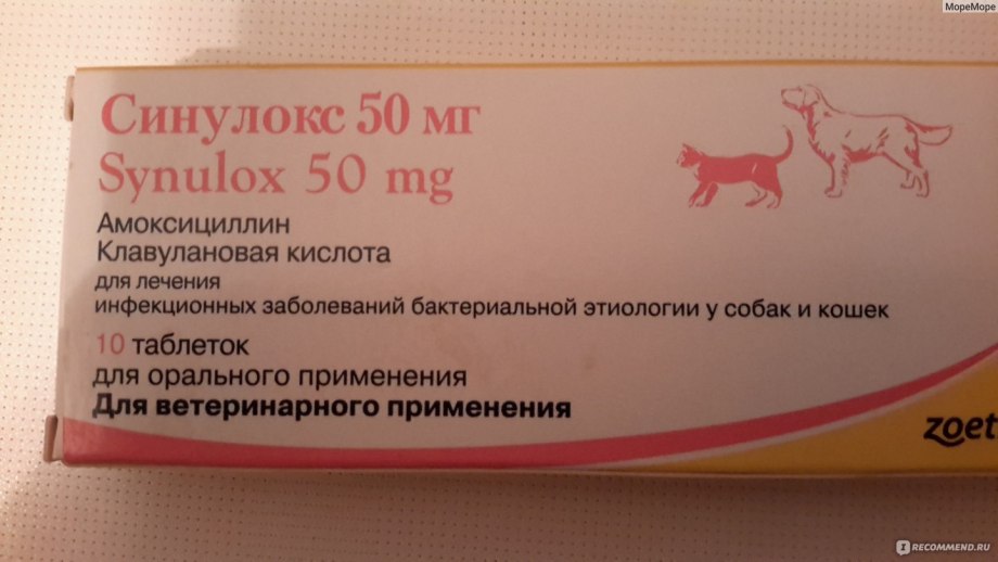 Антибиотик для котов синулокс