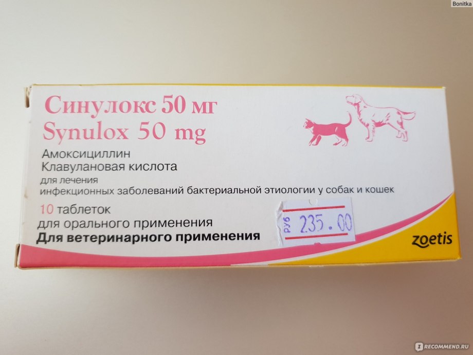 Собачий антибиотик синулокс