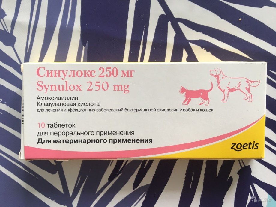 Синулокс 1000