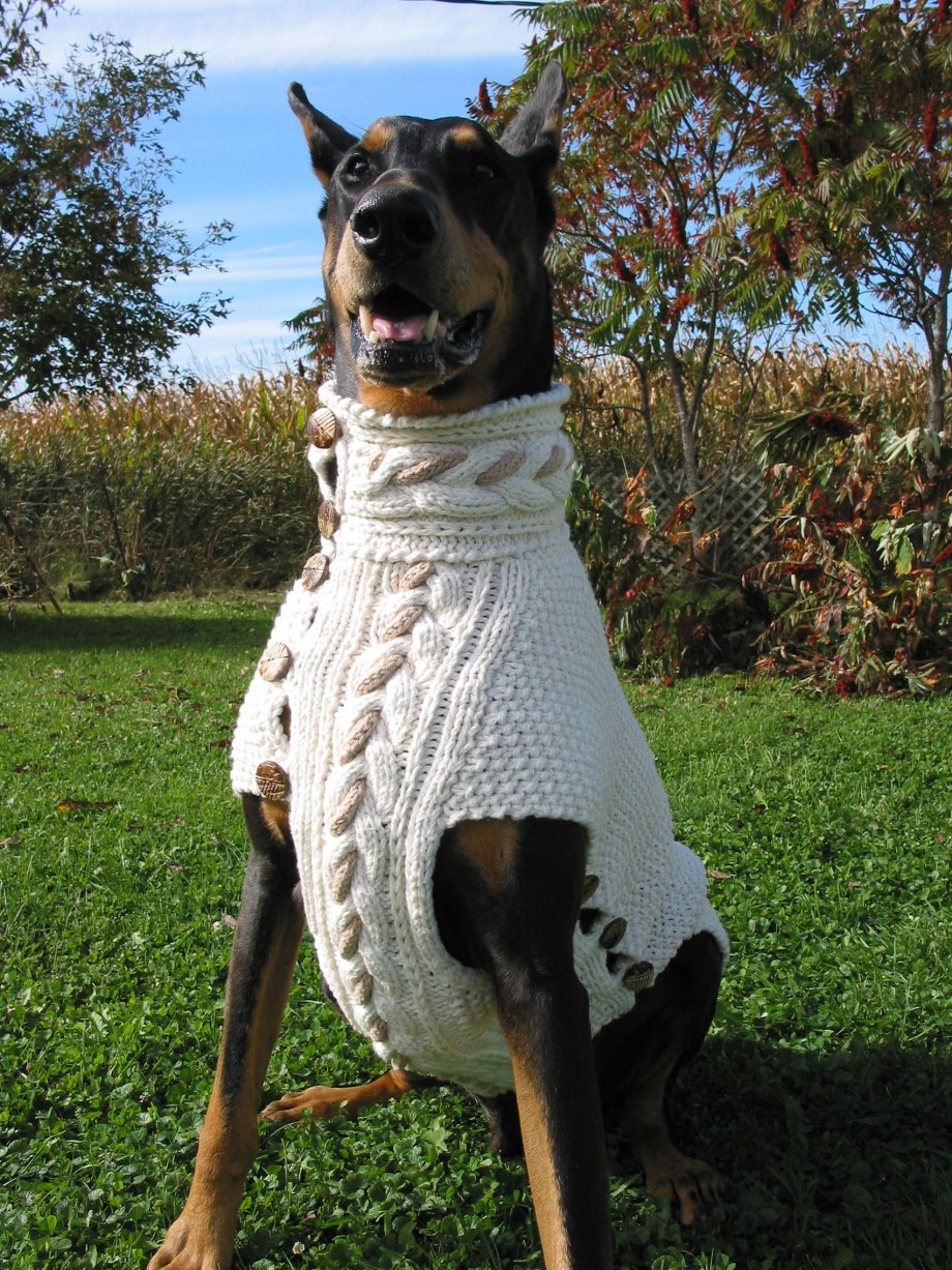 Fan_dobermanov1