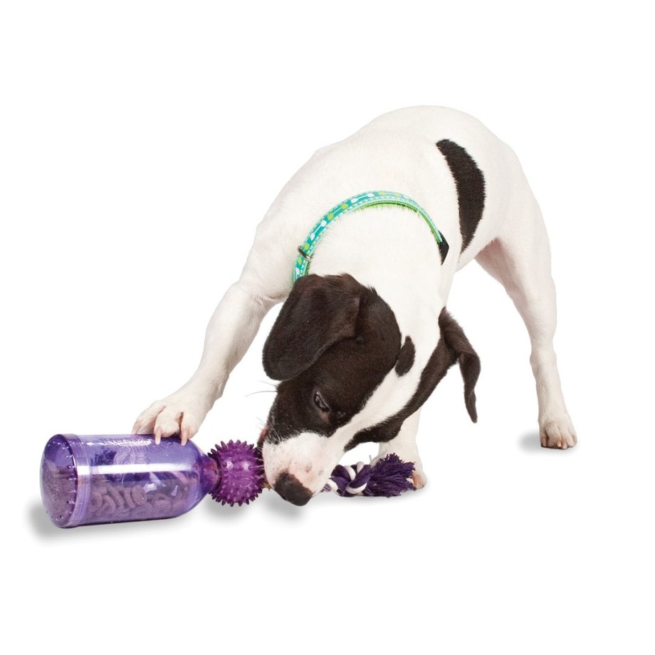 Petsafe игрушка busy buddy