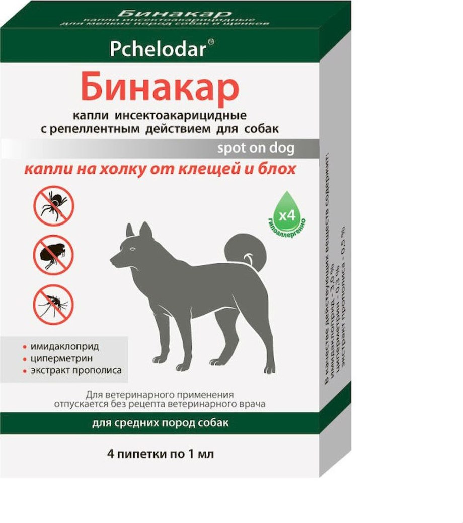 Как приучить щенка к поводку