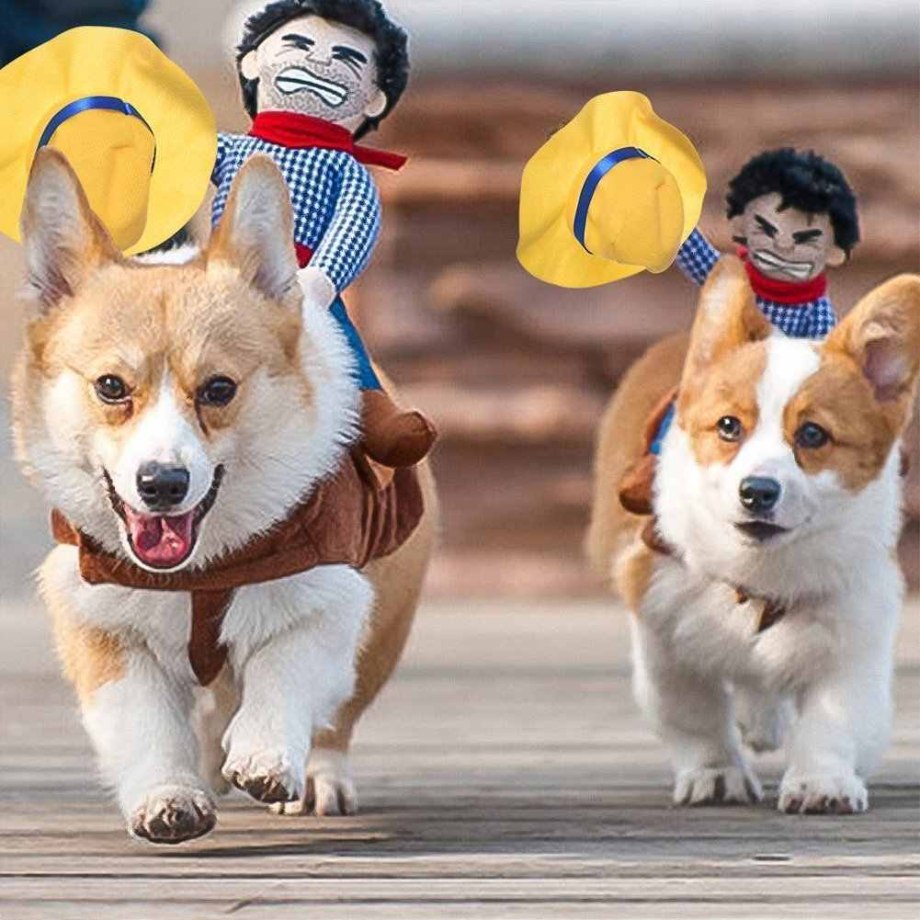 Костюм собаки