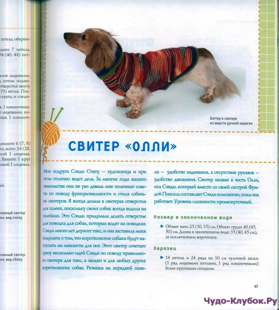 Свитер для таксы схема