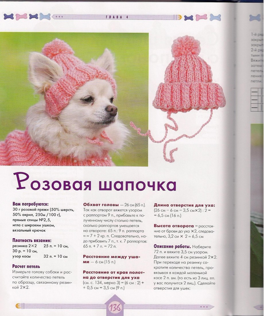 Схема вязания шапочки для собаки чихуа