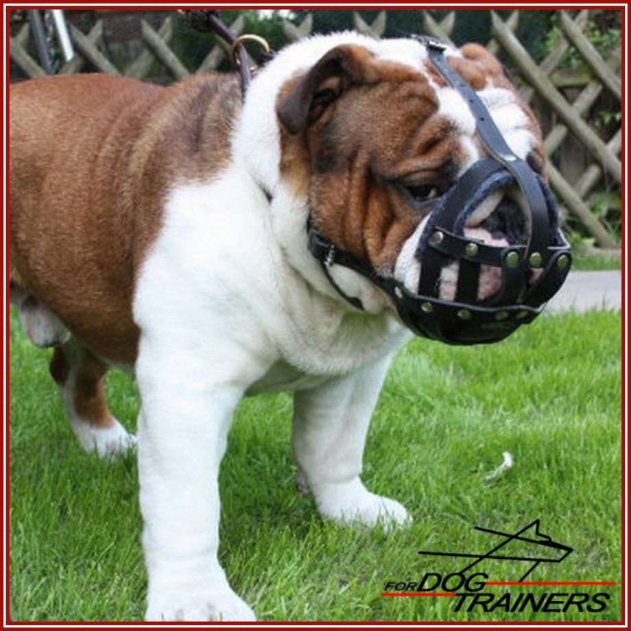 Мягкий намордник Muzzle net small с сеткой для собак