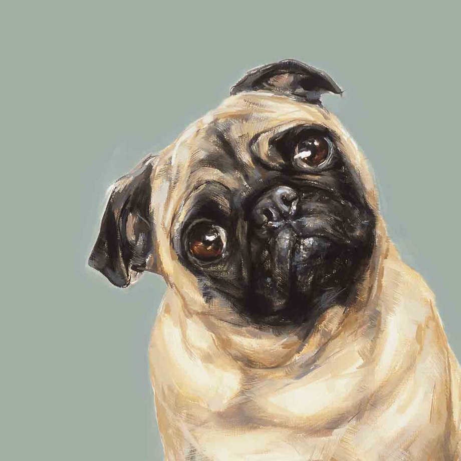 Мопс Art