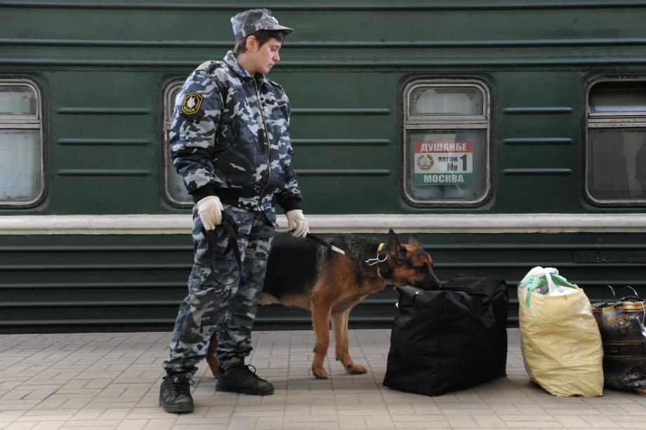 Перевоз животных правила