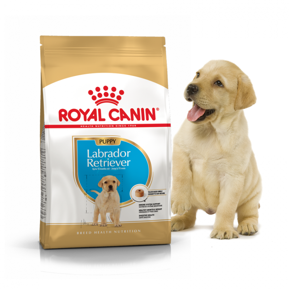 Royal Canin Labrador Retriever Junior