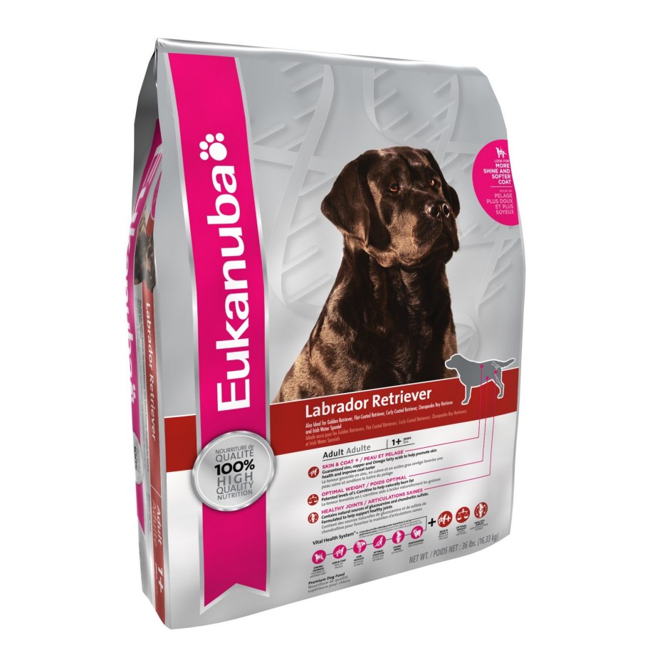 Eukanuba Dachshund