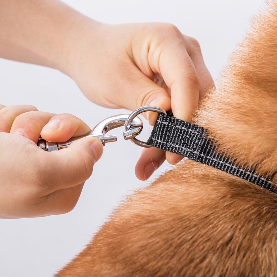 Рулетка поводок для собак 3м Retractable Dog синяя