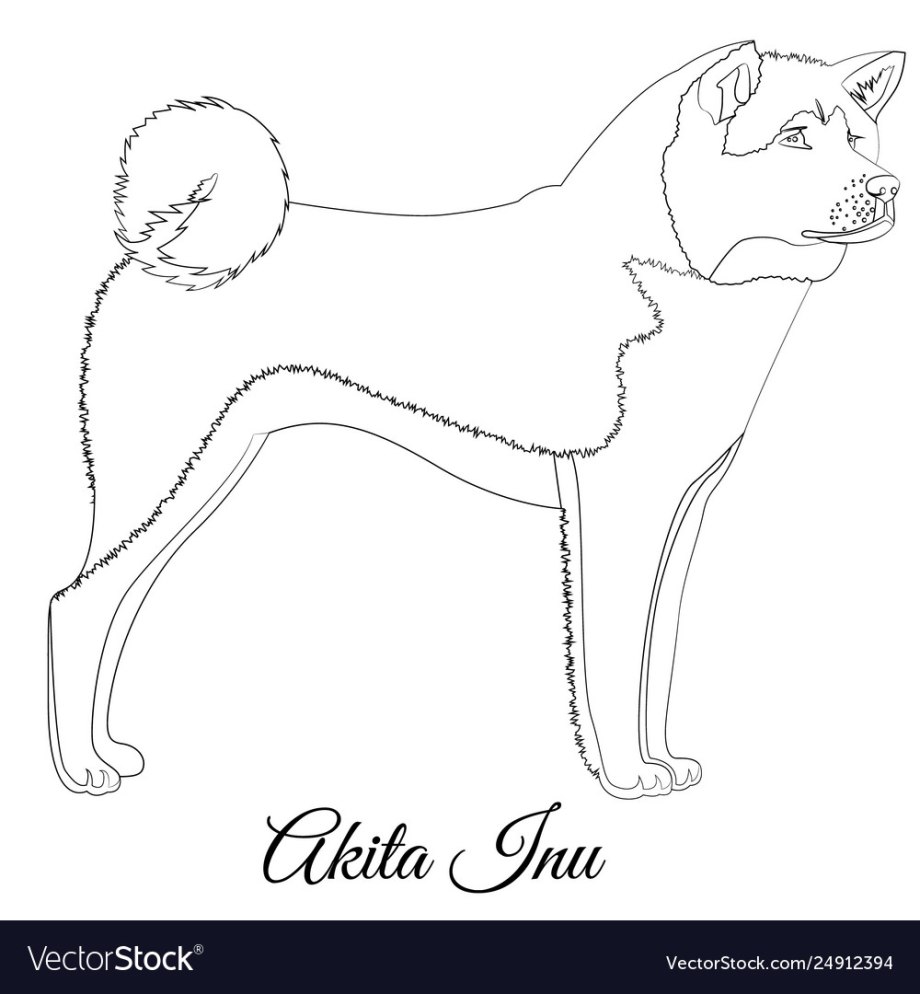 Рисунок собаки Акита ину