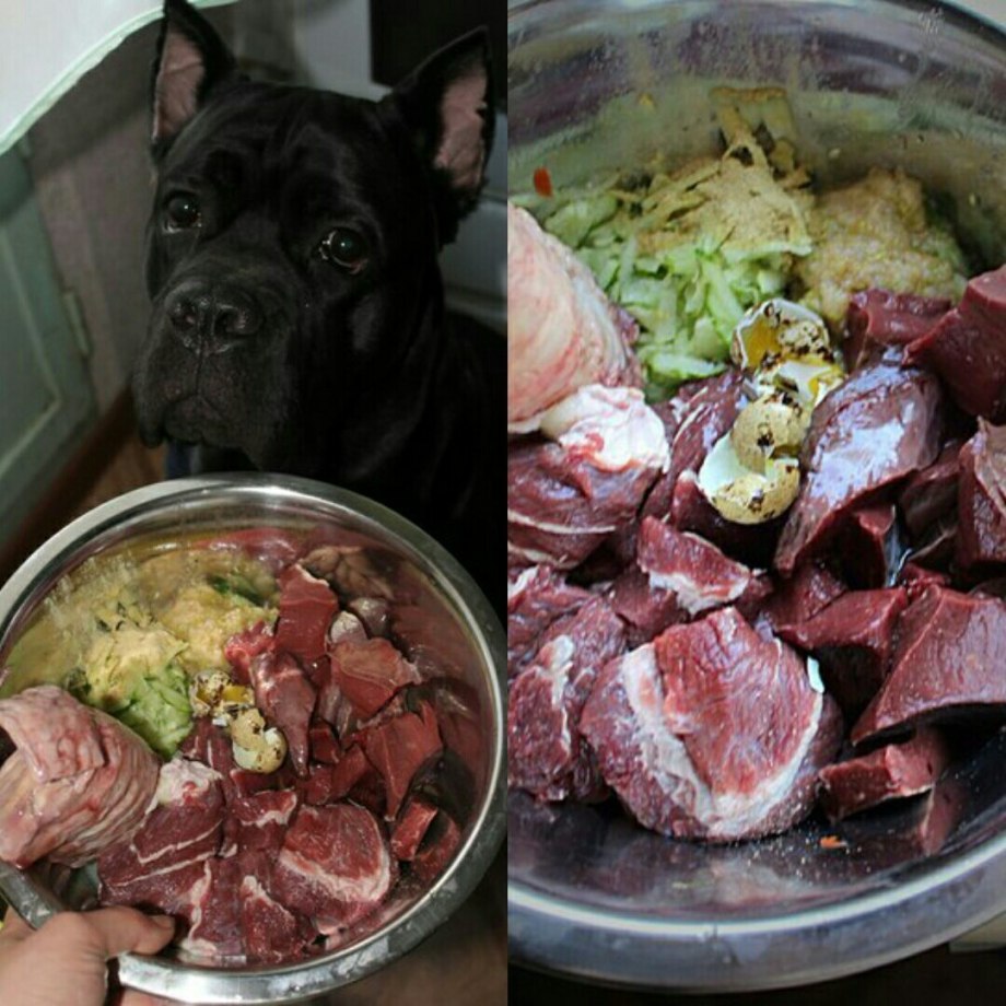 Титбит мясокостная мука пласт.банка