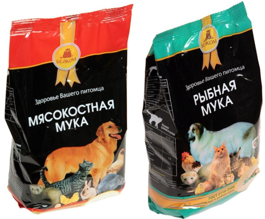 Собака с косточкой в зубах