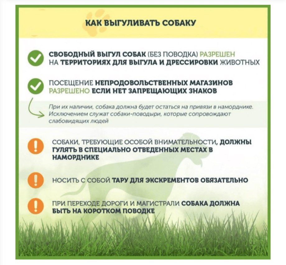 Закон о выгуле собак