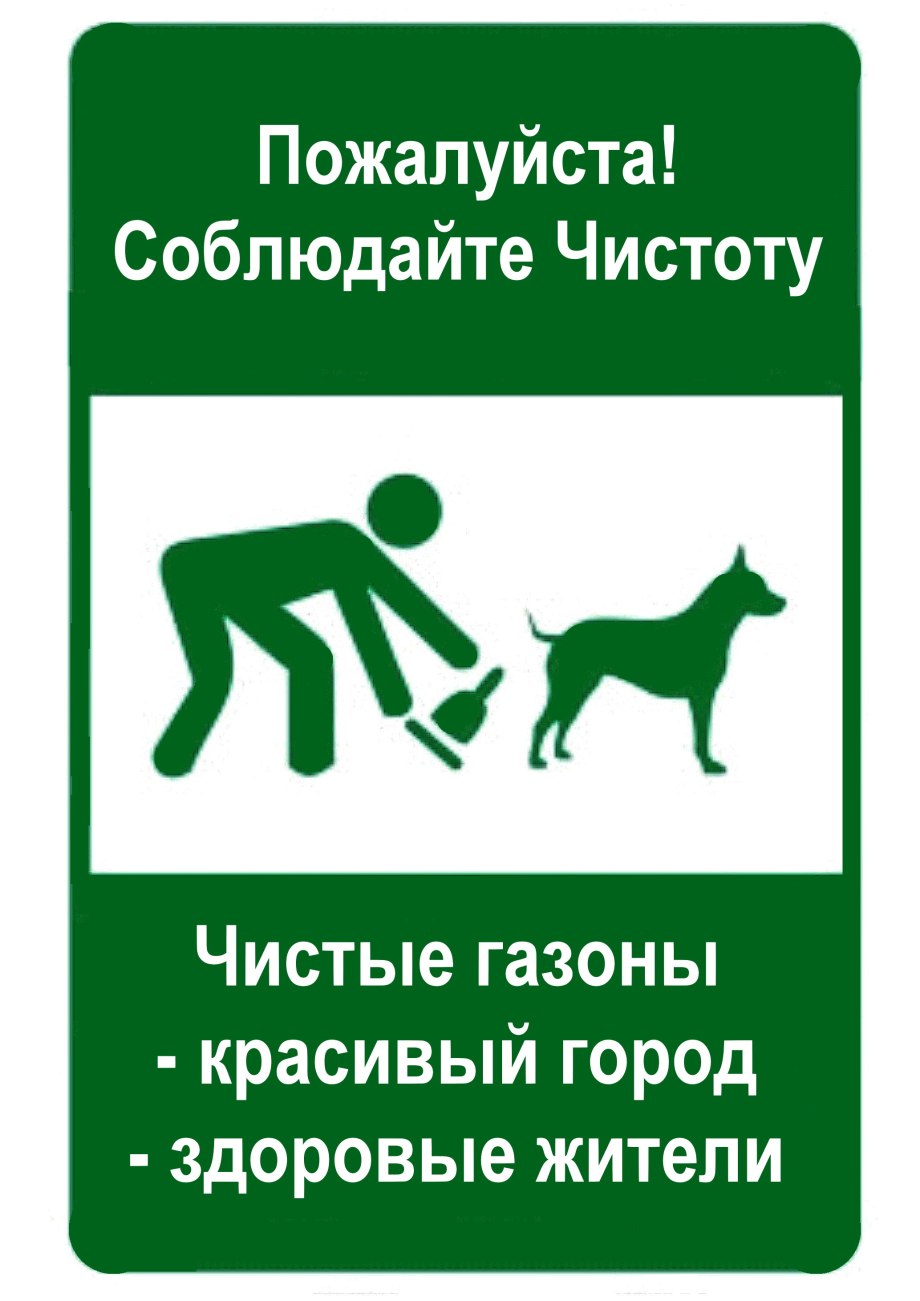 Плакат убери за собакой