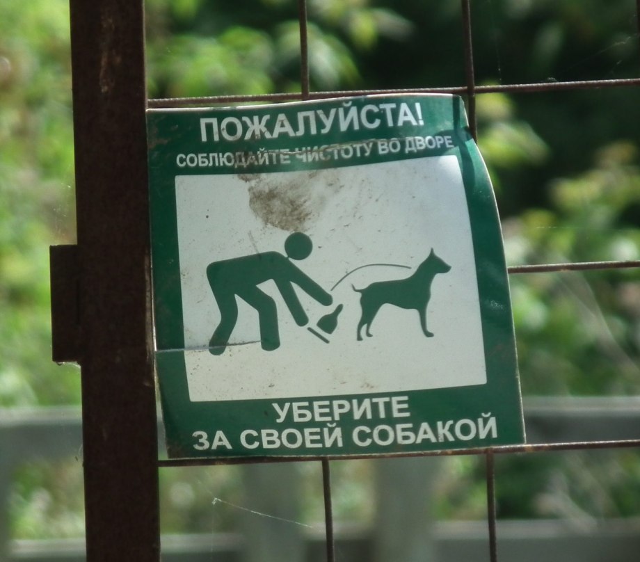 Выгул собак без намордника табличка