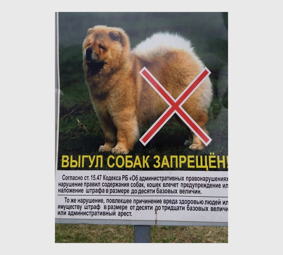 Штраф за выгул собак