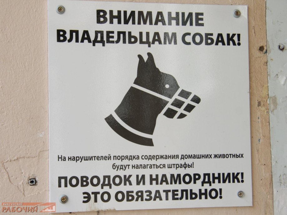 Объявление о выгуле собак в намордниках