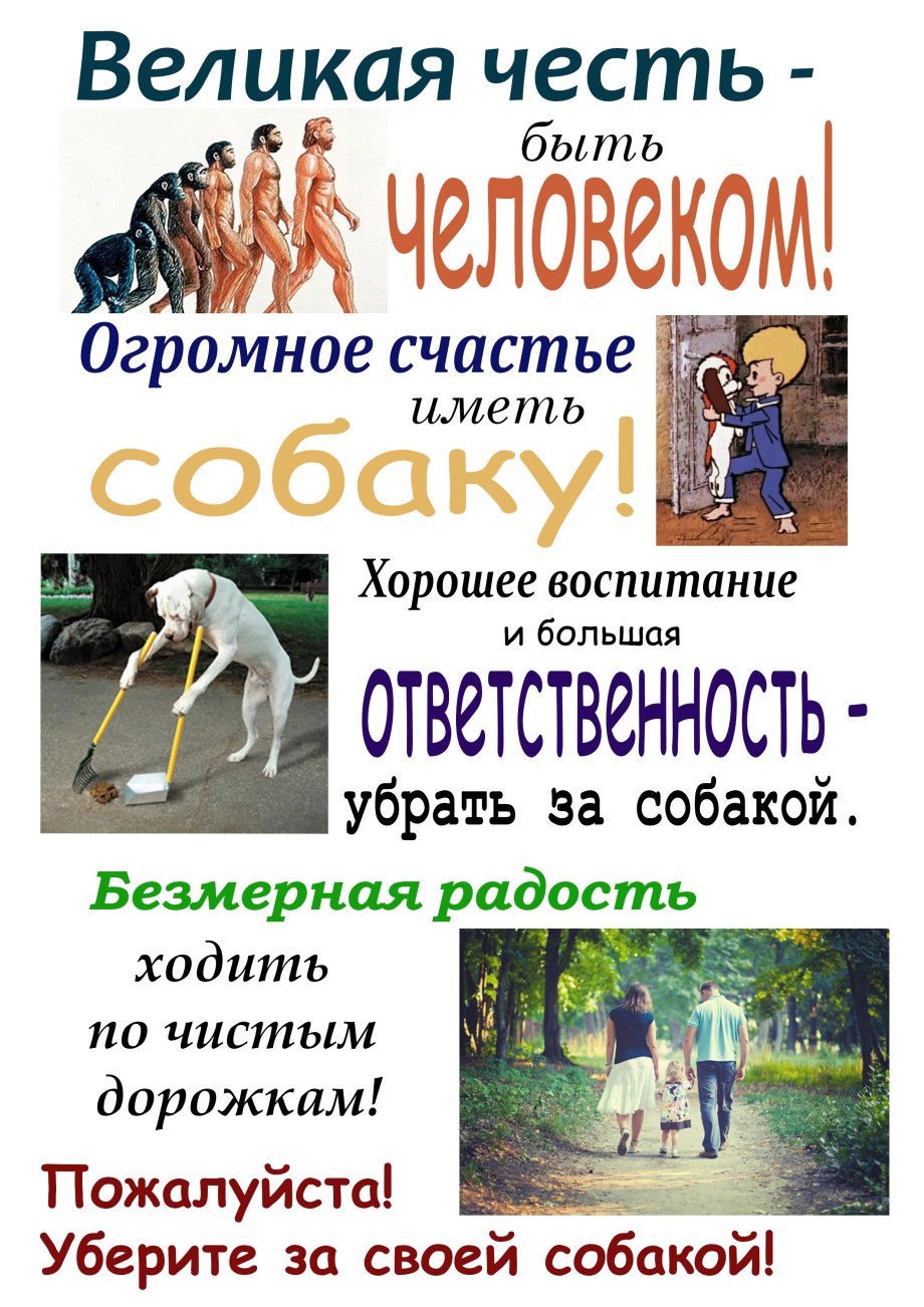 Закон запрещающий выгул собак на придомовой территории