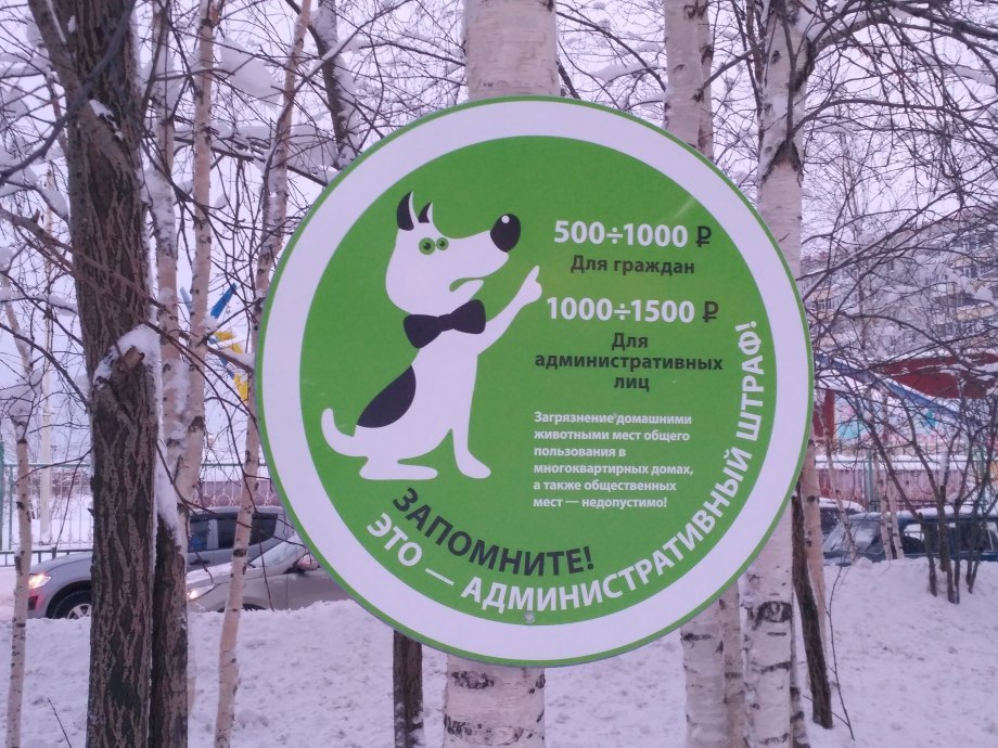 Порядок выгуливания собак