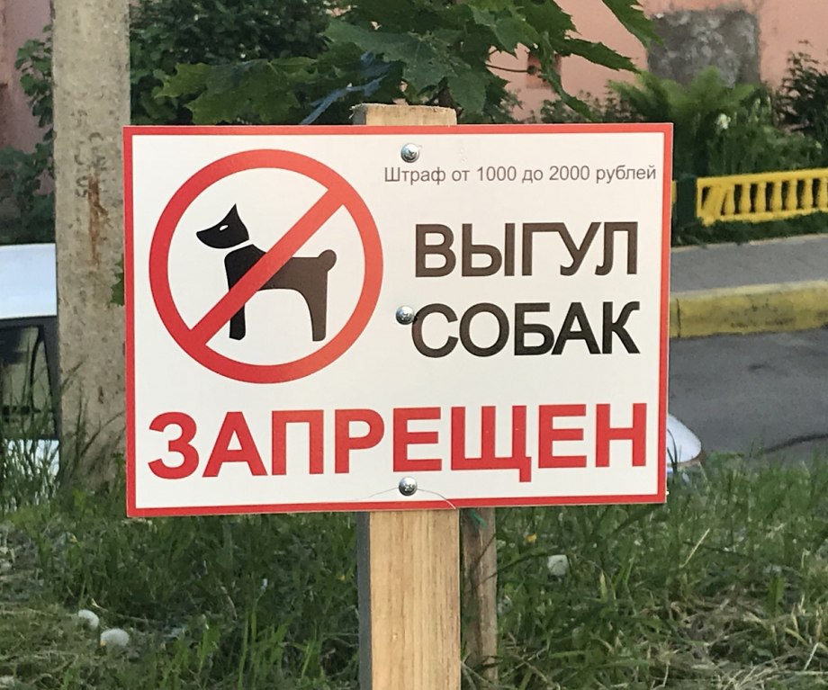 Правильный выгул собак