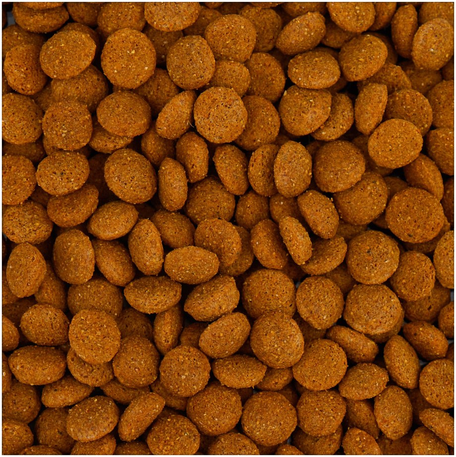 Gemon Dog Mini корм для щенков мелких пород курица с рисом 1 кг