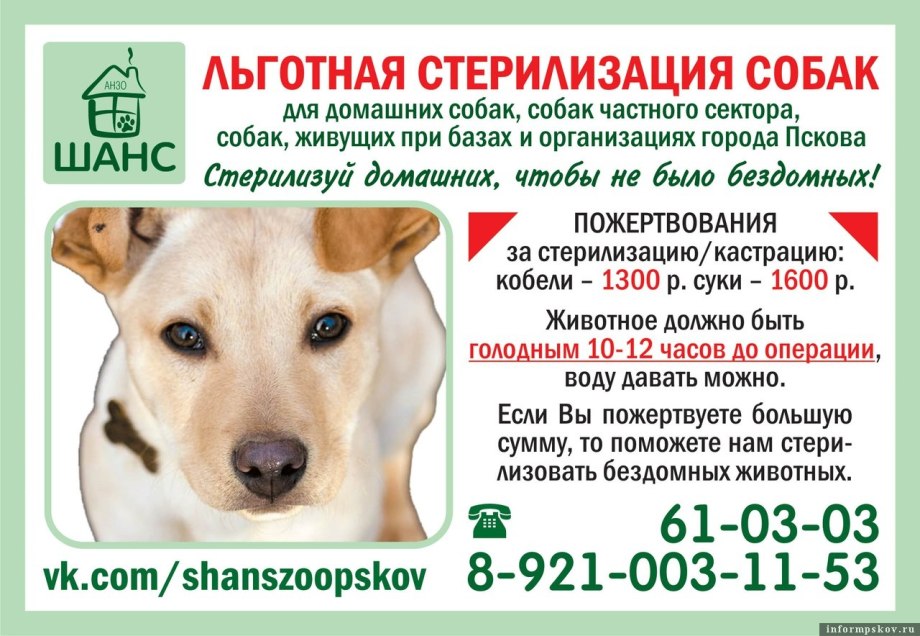 Кастрация собак кобелей