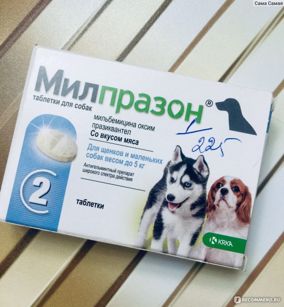 Бравекто от глистов