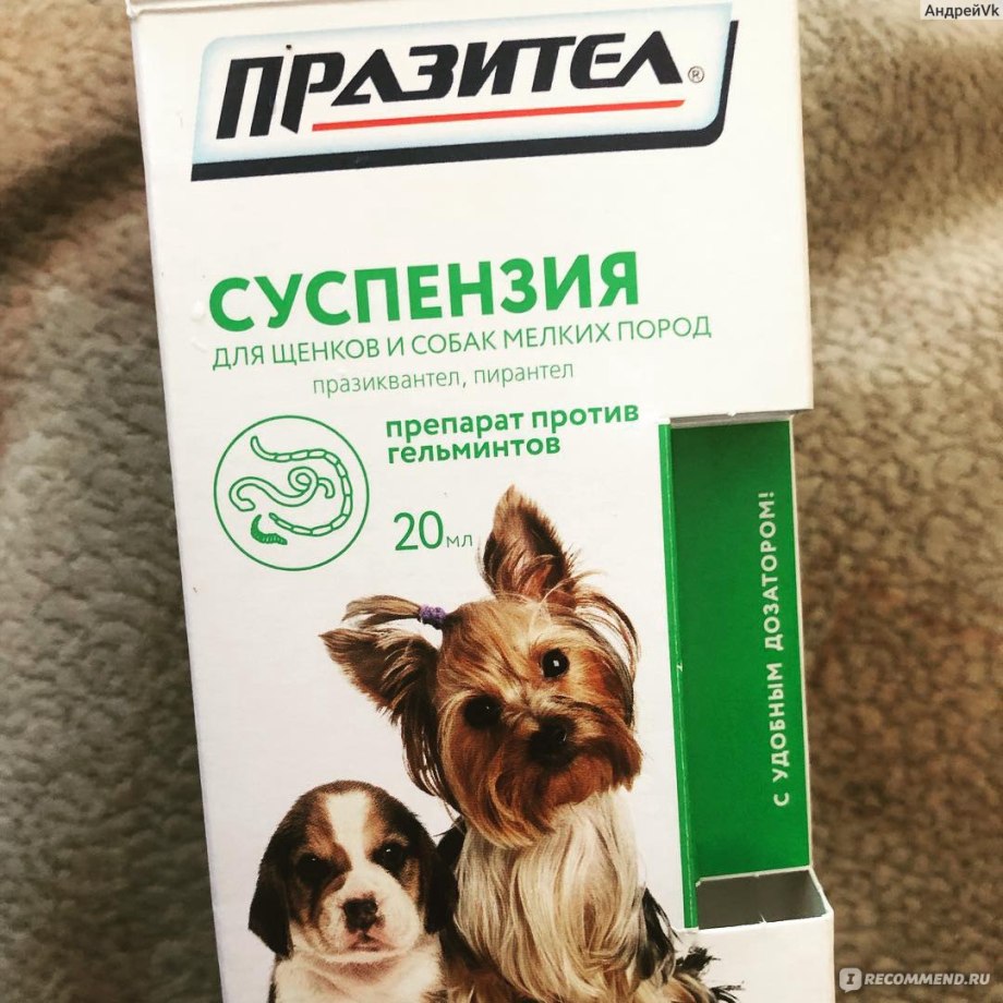 Празицид суспензия плюс для взрослых собак